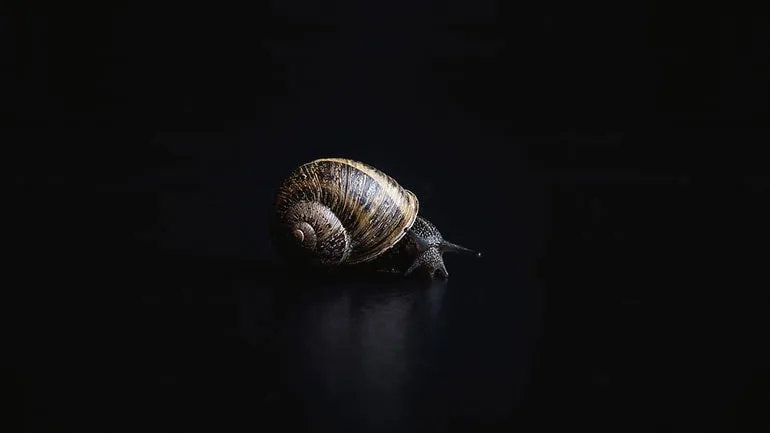 24 - 虎扑体育